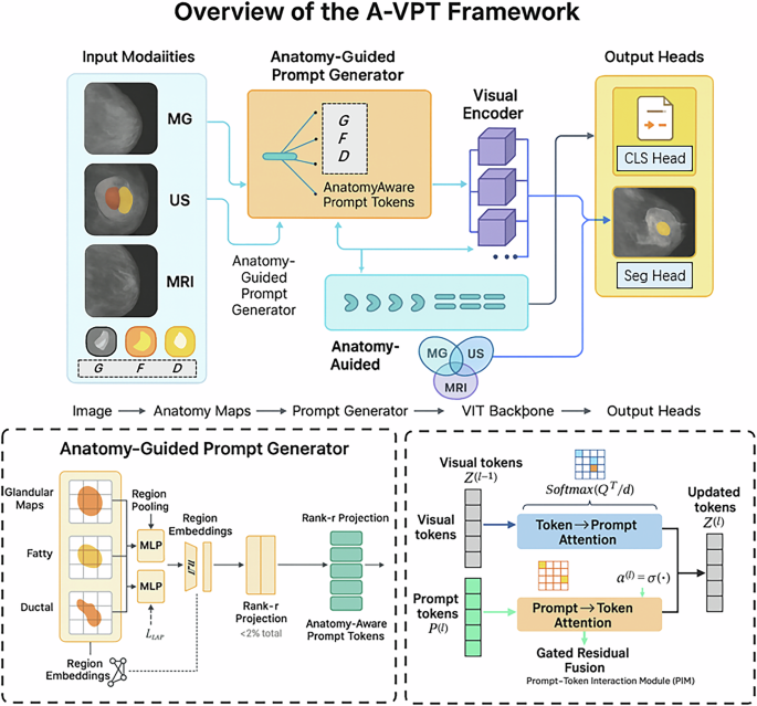 Fig. 10: Overview of the A-VPT framework.