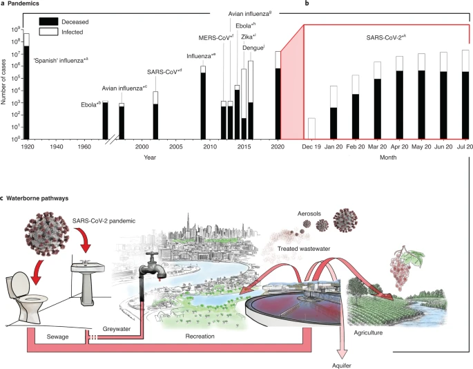 Overview of Pandemics and Waterborne pathways