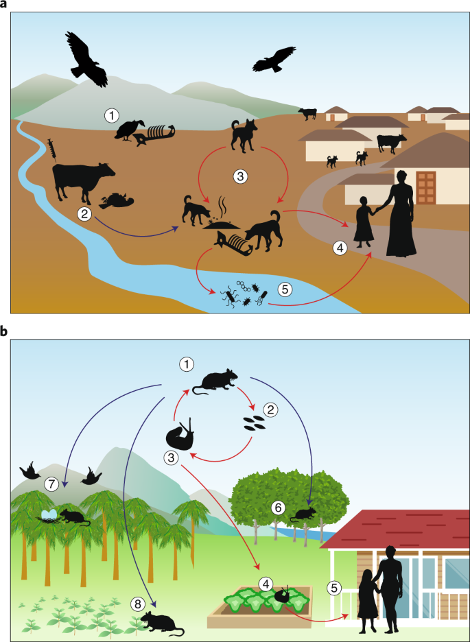 How To Identify Win Win Interventions That Benefit Human Health And Conservation Nature Sustainability How To Identify Win Win Interventions That Benefit Human Health And Conservation Nature Sustainability