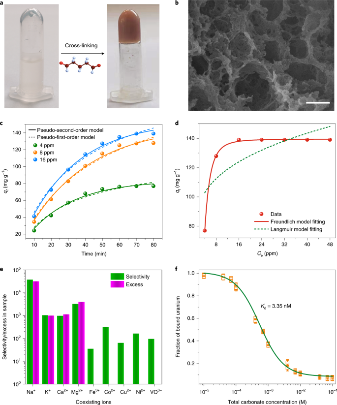 Selective Extraction Of Uranium From Seawater With Biofouling Resistant Polymeric Peptide Nature Sustainability Selective Extraction Of Uranium From Seawater With Biofouling Resistant Polymeric Peptide Nature Sustainability