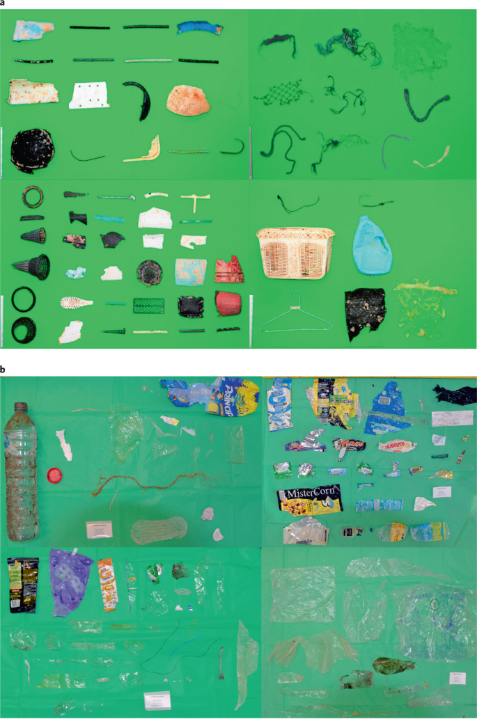 An Inshore Offshore Sorting System Revealed From Global Classification Of Ocean Litter Nature Sustainability