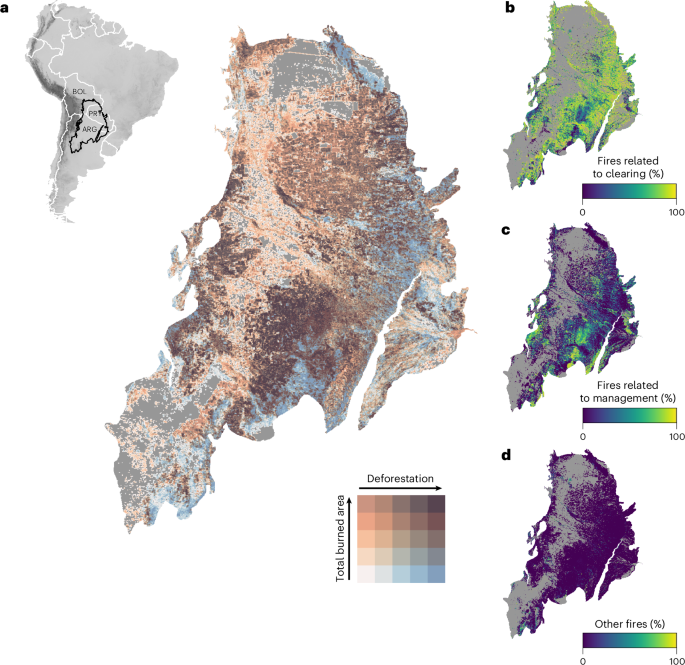 Fig. 1: Relationship between deforestation and fire in the Chaco.