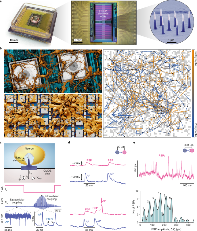 Neuromorphic electronics based on copying and pasting the brain | Nature Electronics