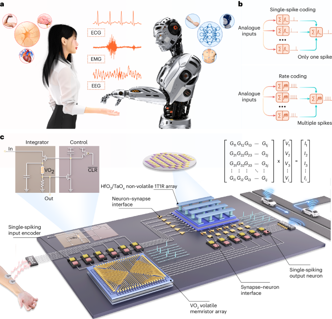 An end-to-end memristive hardware system based on single-spike coding ...
