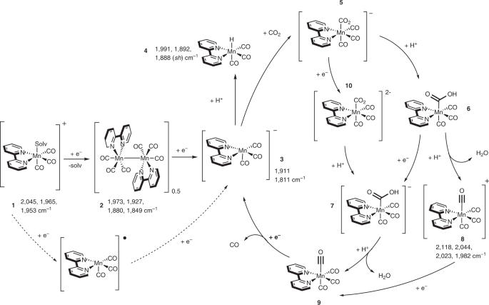 Detection Of Catalytic Intermediates At An Electrode Surface During Carbon Dioxide Reduction By An Earth Abundant Catalyst Nature Catalysis