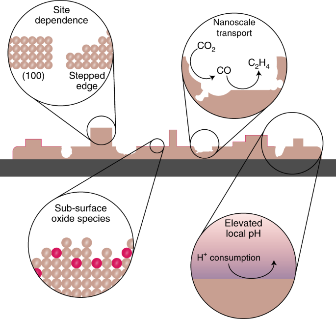 Designing materials for electrochemical carbon dioxide recycling 