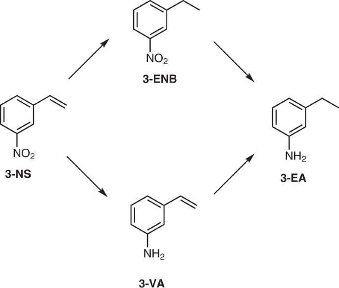 Tuning of catalytic sites in Pt/TiO2 catalysts for the chemoselective hydrogenation of 3-nitrostyrene