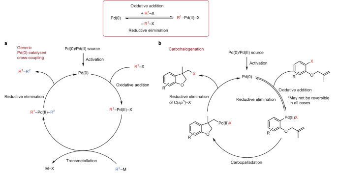 The emergence of Pd-mediated reversible oxidative addition in cross  coupling, carbohalogenation and carbonylation reactions | Nature Catalysis
