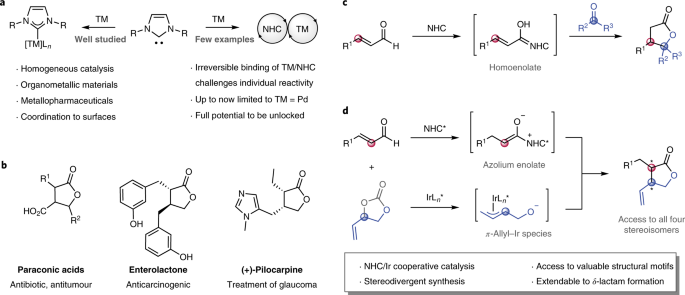 Diastereodivergent Synthesis Of Enantioenriched A B Disubstituted G Butyrolactones Via Cooperative N Heterocyclic Carbene And Ir Catalysis Nature Catalysis
