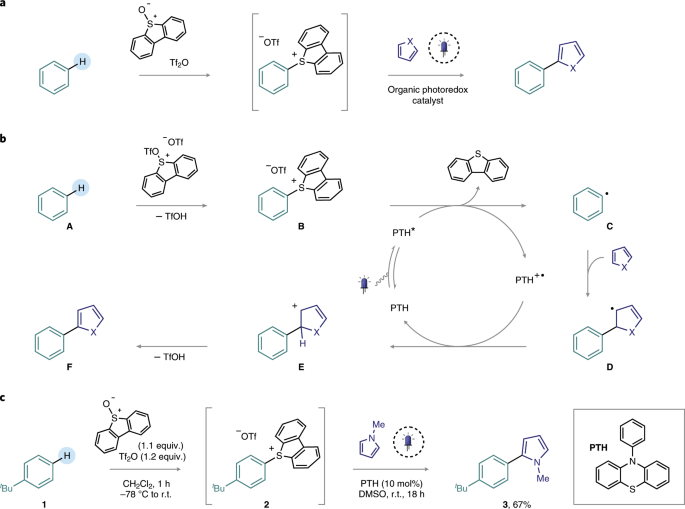 Metal Free Photoredox Catalysed Formal C H C H Coupling Of Arenes Enabled By Interrupted Pummerer Activation Nature Catalysis Metal Free Photoredox Catalysed Formal C H C H Coupling Of Arenes Enabled By Interrupted Pummerer Activation Nature Catalysis