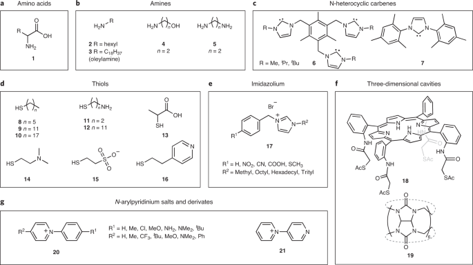 Towards Molecular Understanding Of Local Chemical Environment Effects In Electro And Photocatalytic Co 2 Reduction Nature Catalysis