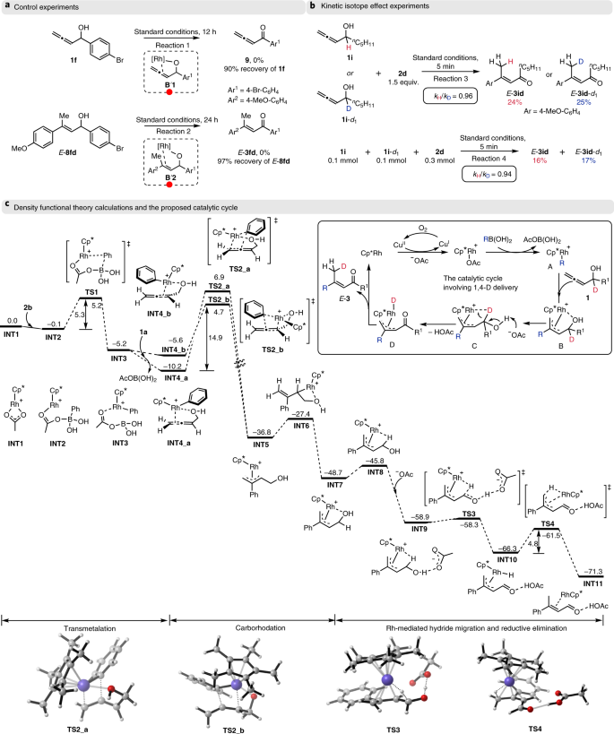 Stereodefined Rhodium Catalysed 1 4 H D Delivery For Modular Syntheses And Deuterium Integration Nature Catalysis