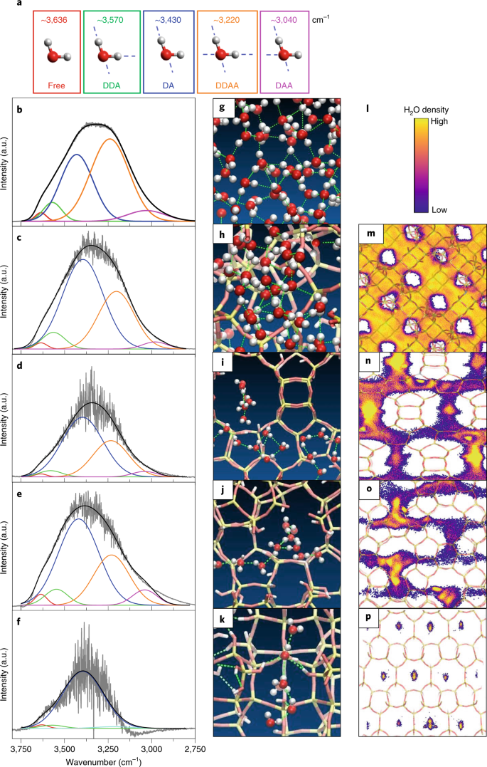 The Shape Of Water In Zeolites And Its Impact On Epoxidation Catalysis Nature Catalysis