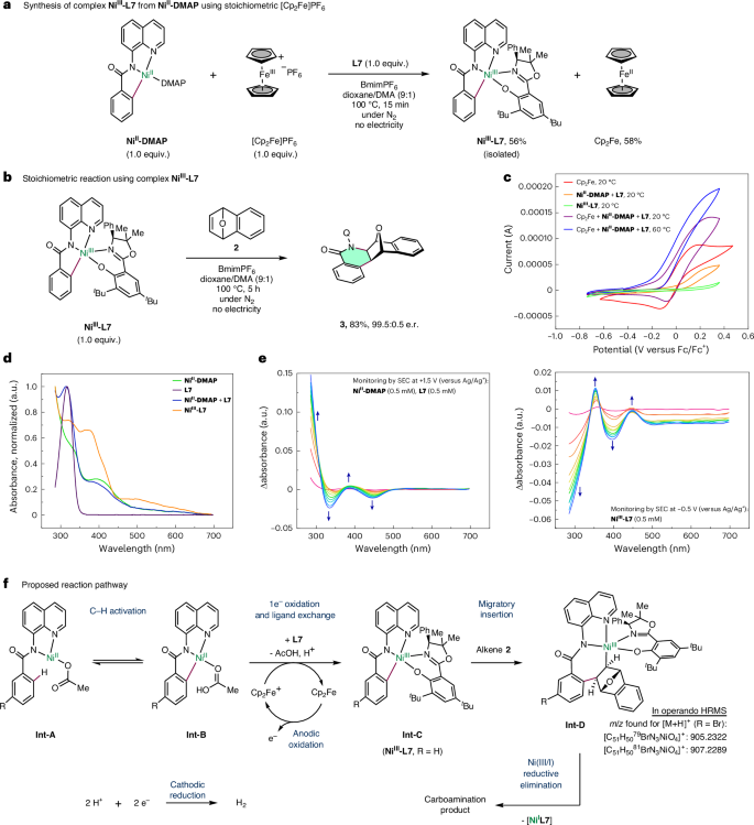 Fig. 5: Mechanistic insights into the nickel-catalysed carboamination process.