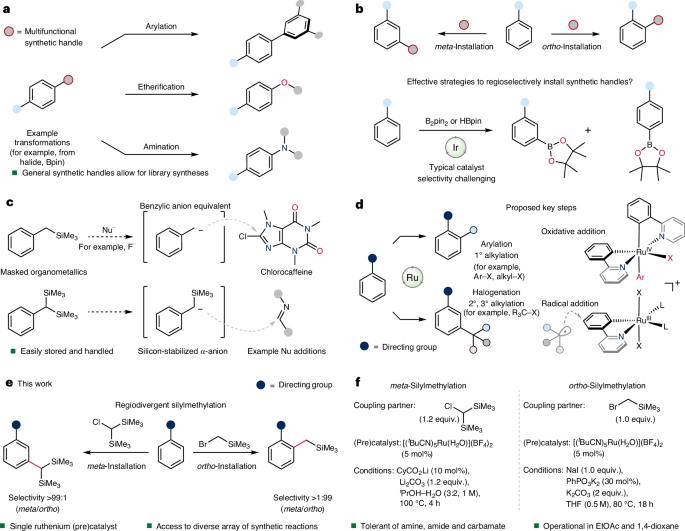 Fig. 1: Concepts and strategies for the installation of synthetic handles within arenes and their utility.