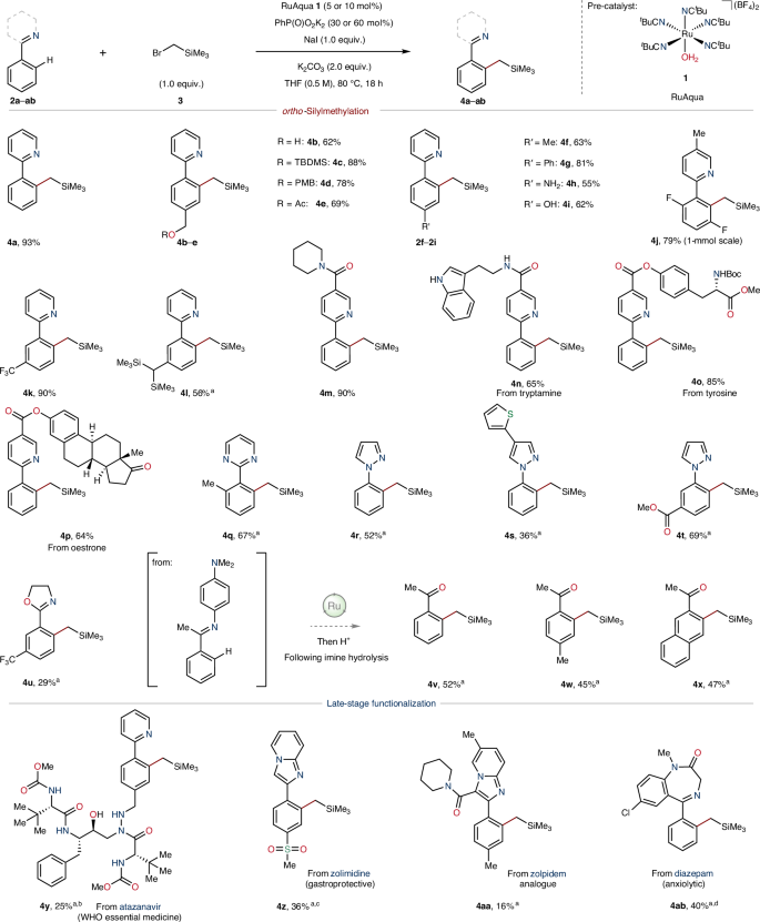 Fig. 2: Application of ruthenium-catalysed ortho-silylmethylation to a range of arenes.