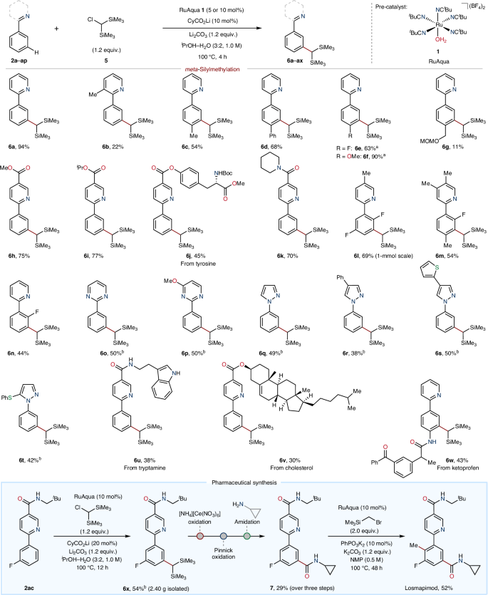 Fig. 3: Application of ruthenium-catalysed meta-silylmethylation to a range of arenes and utility in pharmaceutical synthesis.