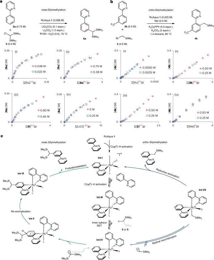 Fig. 8: Variable-time normalization analysis for ortho- and meta-silylmethylation and overall mechanistic hypothesis.
