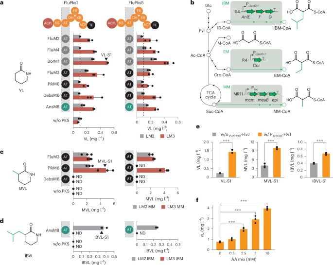 Fig. 4: PKS AT-domain exchange and production of VL and α-substituted VLs.