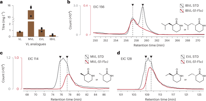 Fig. 5: PKS-based biosynthesis of enantiopure α-substituted VLs from a sustainable carbon source.