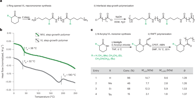 Fig. 6: Polymerizing α-substituted VLs into polymers.