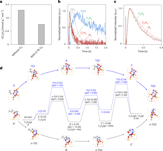 Fig. 6: Active species and mechanism.