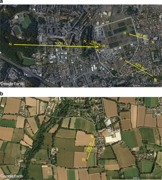 Tracker hornets' nest location