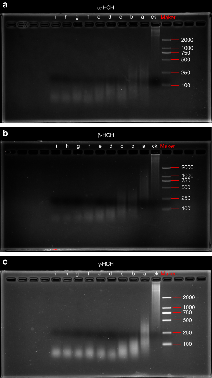 Organochlorinated Pesticides Expedite The Enzymatic Degradation Of Dna Communications Biology