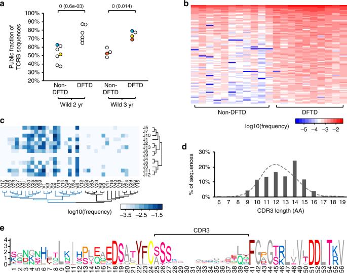 Tasmanian Devils With Contagious Cancer Exhibit A Constricted T Cell Repertoire Diversity Communications Biology