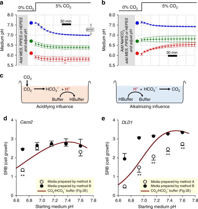 for controlling in mammalian culture systems | Communications Biology