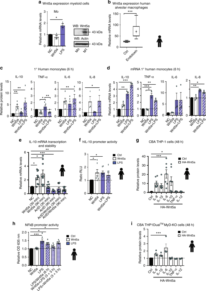 Recombinant Human IL-4 Protein 204-IL-010: R&D Systems