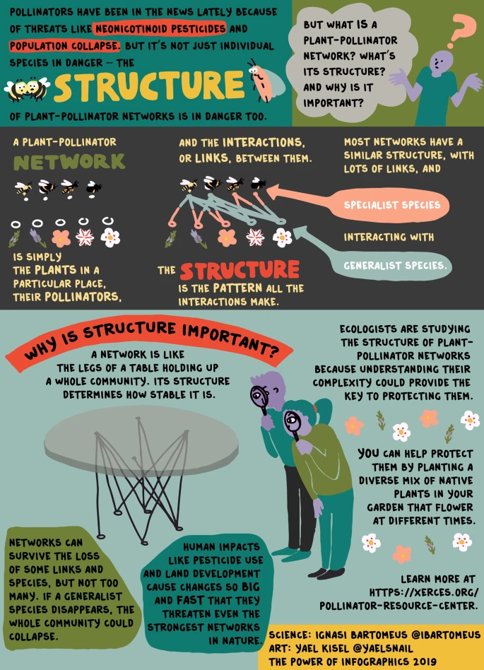 infographic on pesticides