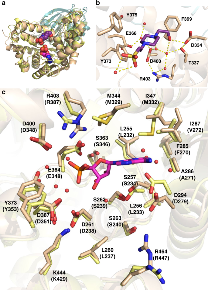figure4