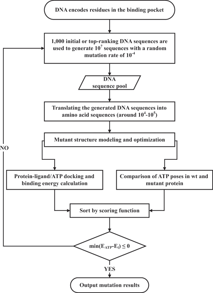 A combined computational and experimental strategy identifies 