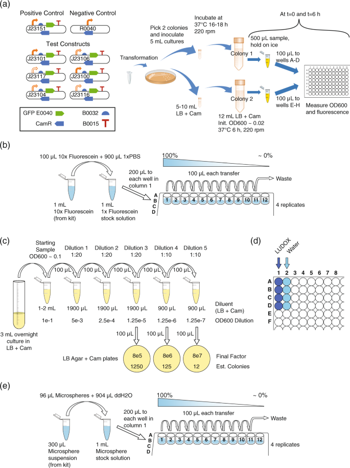 Robust estimation of bacterial cell count from optical density |  Communications Biology