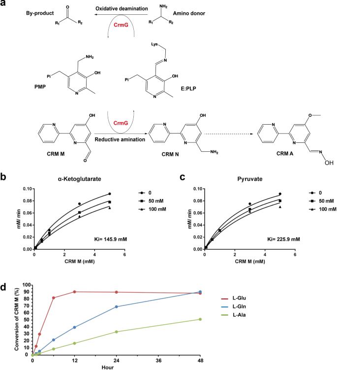 Fig. 1: Catalytic characterizations of CrmG.