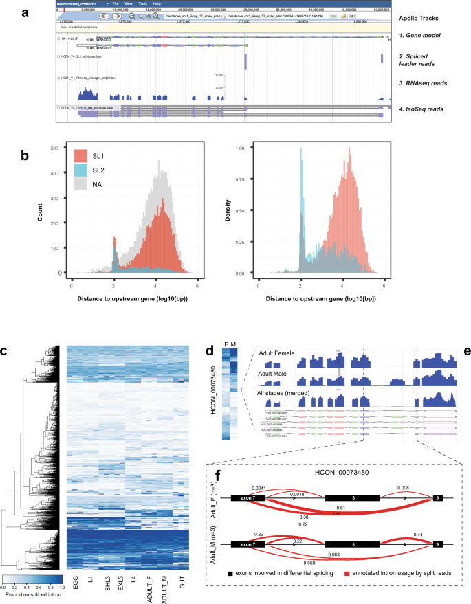 Fig. 5: Extensive trans- and cis-splicing of gene transcripts throughout the life cycle.