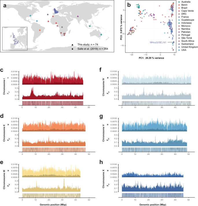 Fig. 6: Genome- and population-wide genetic diversity.