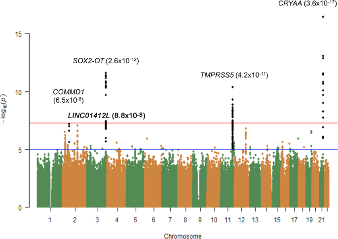Fig. 1: Manhattan plot of the GWAS meta-analysis for age-related nuclear cataract in the combined analysis (N = 14,151).