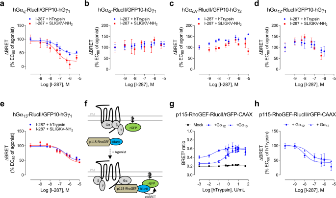 The Par2 Inhibitor I 287 Selectively Targets Ga Q And Ga 12 13 Signaling And Has Anti Inflammatory Effects Communications Biology