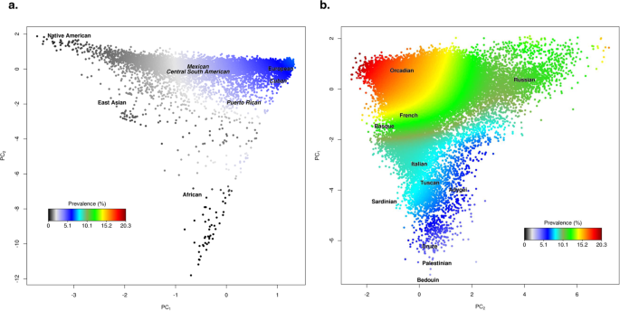 Fig. 1: Ancestry contour figure showing cSCC prevalence by genetic ancestry in GERA.