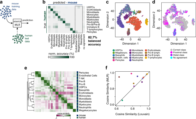 Fig. 2: Bone marrow biology maps partially from mouse to humans.