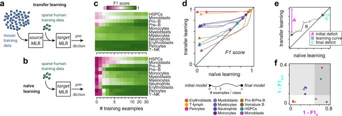 Fig. 3: Mapping biology from mouse to human using transfer learning.