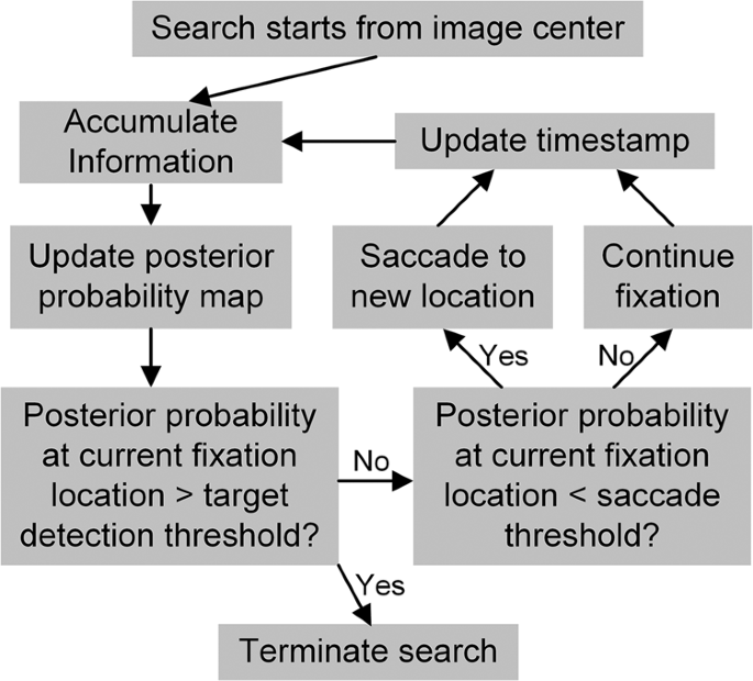 Fig. 2: Schematic diagram of the continuous-time entropy-limit minimization (CTELM) and constrained-CTELM (CCTELM) models.