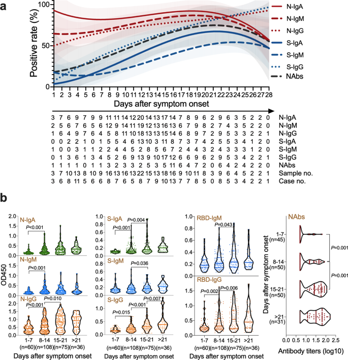 Defining the features and duration of antibody responses to SARS-CoV-2  infection associated with disease severity and outcome