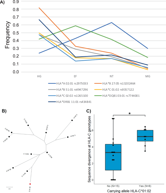 Genome Wide Study Of A Neolithic Wartberg Grave Community Reveals Distinct Hla Variation And Hunter Gatherer Ancestry Communications Biology