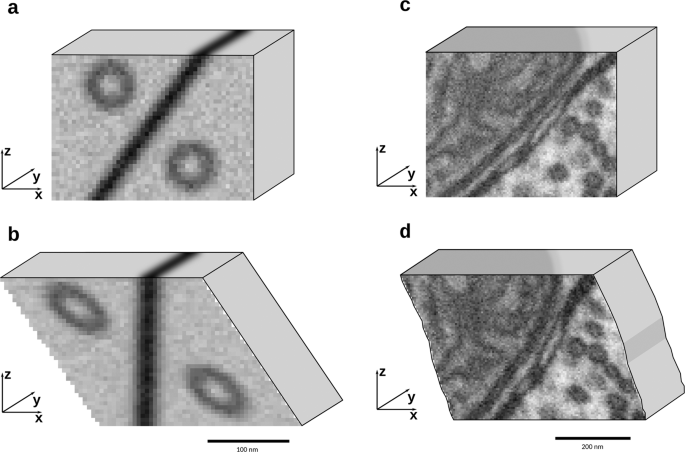 Restoring Drifted Electron Microscope Volumes Using Synaptic Vesicles At Sub Pixel Accuracy Communications Biology