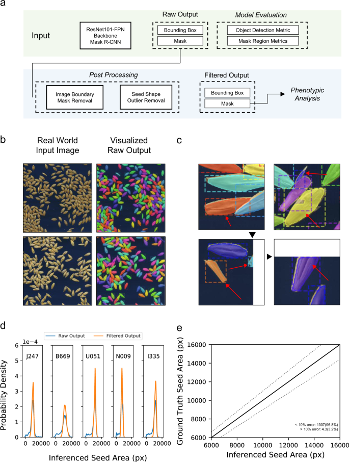 Training Instance Segmentation Neural Network With Synthetic Datasets For Crop Seed Phenotyping Communications Biology