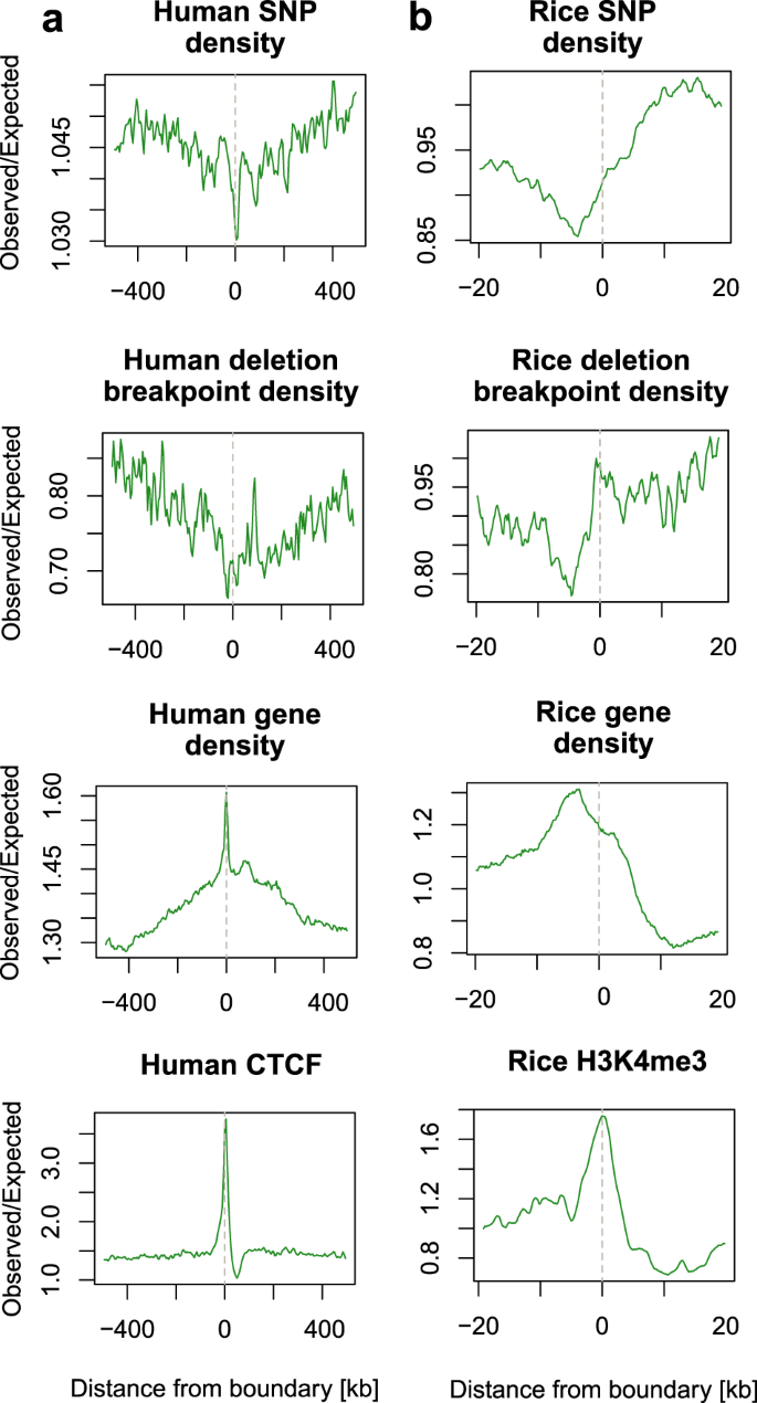 Fig. 2: Variant profiles across human and rice TAD boundaries.