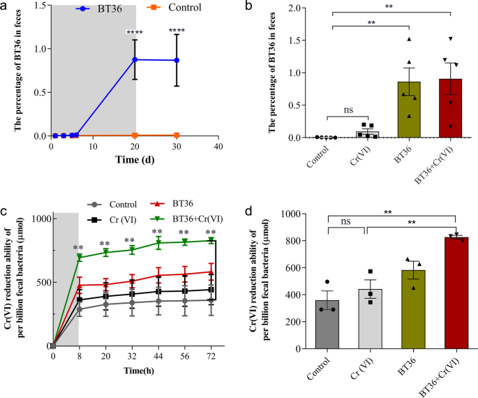 Tibet Plateau Probiotic Mitigates Chromate Toxicity In Mice By Alleviating Oxidative Stress In Gut Microbiota Communications Biology